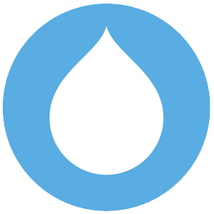 Drupal Consulting